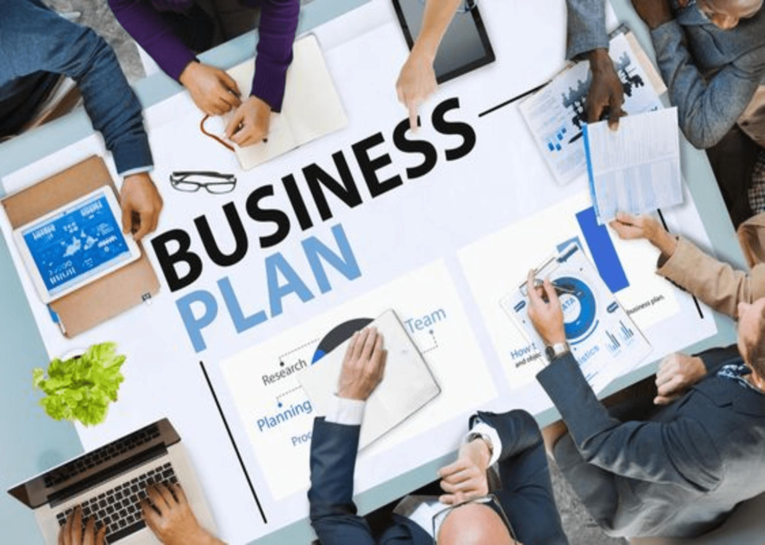 The Role of Business Setup Consultants in India