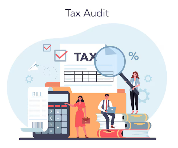 tax-audit